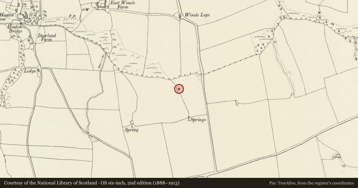 Ordnance Survey six-inch map, 2nd edition (1888–1913) covering the location of Burnt Mound 320m S of Winsle Leys, St. Ishmael's, Pembrokeshire, with a pin at the register's coordinates
