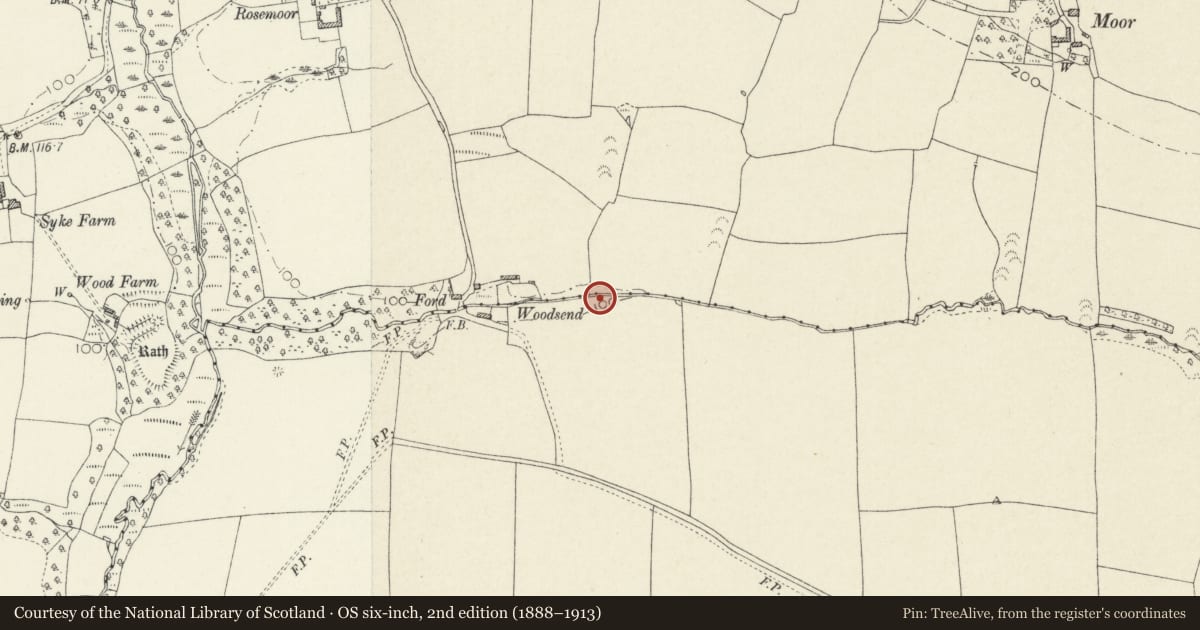 Ordnance Survey six-inch map, 2nd edition (1888–1913) covering the location of Burnt Mound 160m E of Woodsend, Walwyn's Castle, Pembrokeshire, with a pin at the register's coordinates