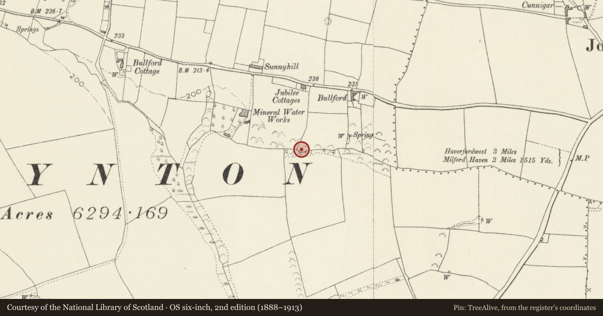 Ordnance Survey six-inch map, 2nd edition (1888–1913) covering the location of Burnt Mound 170m S of Jubilee Cottages, Tiers Cross, Pembrokeshire, with a pin at the register's coordinates