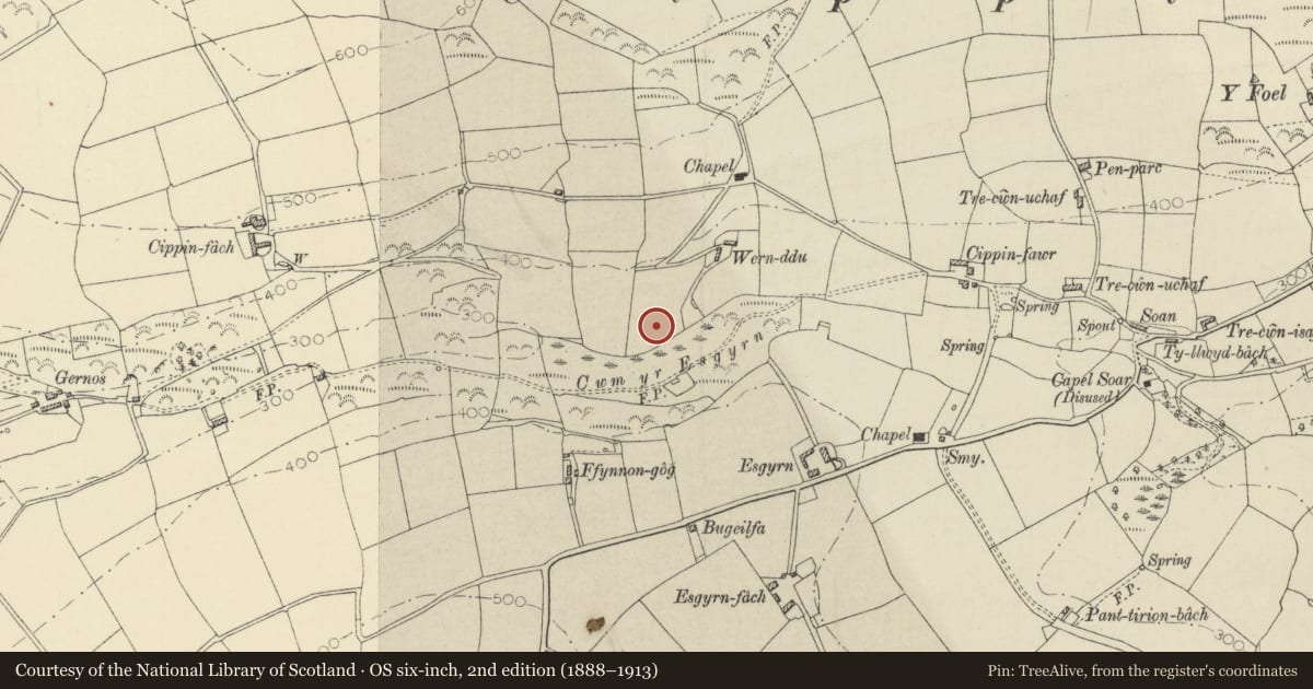 Ordnance Survey six-inch map, 2nd edition (1888–1913) covering the location of Burnt Mound 160m SW of Wern-Ddu, St. Dogmaels, Pembrokeshire, with a pin at the register's coordinates