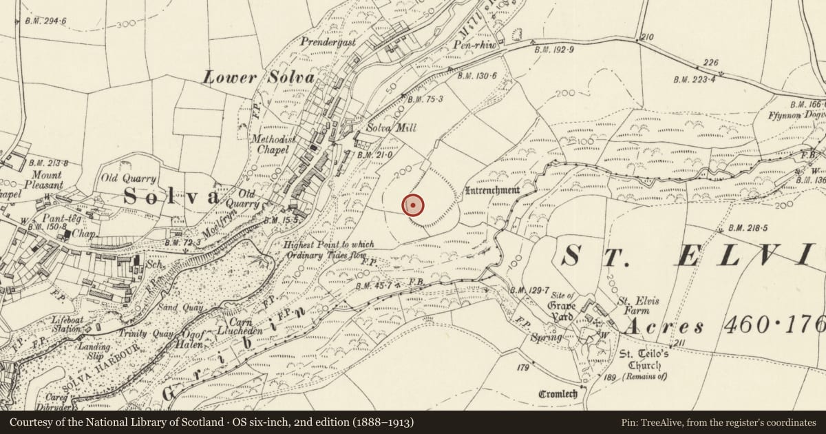 Ordnance Survey six-inch map, 2nd edition (1888–1913) covering the location of Enclosure 200m SE of Solva Village, Pembrokeshire, with a pin at the register's coordinates