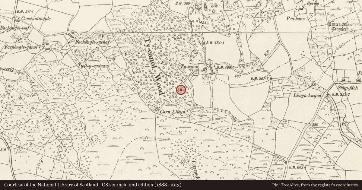 Ordnance Survey six-inch map, 2nd edition (1888–1913) covering the location of Enclosure in Tycanol Wood, Nevern, Pembrokeshire, with a pin at the register's coordinates