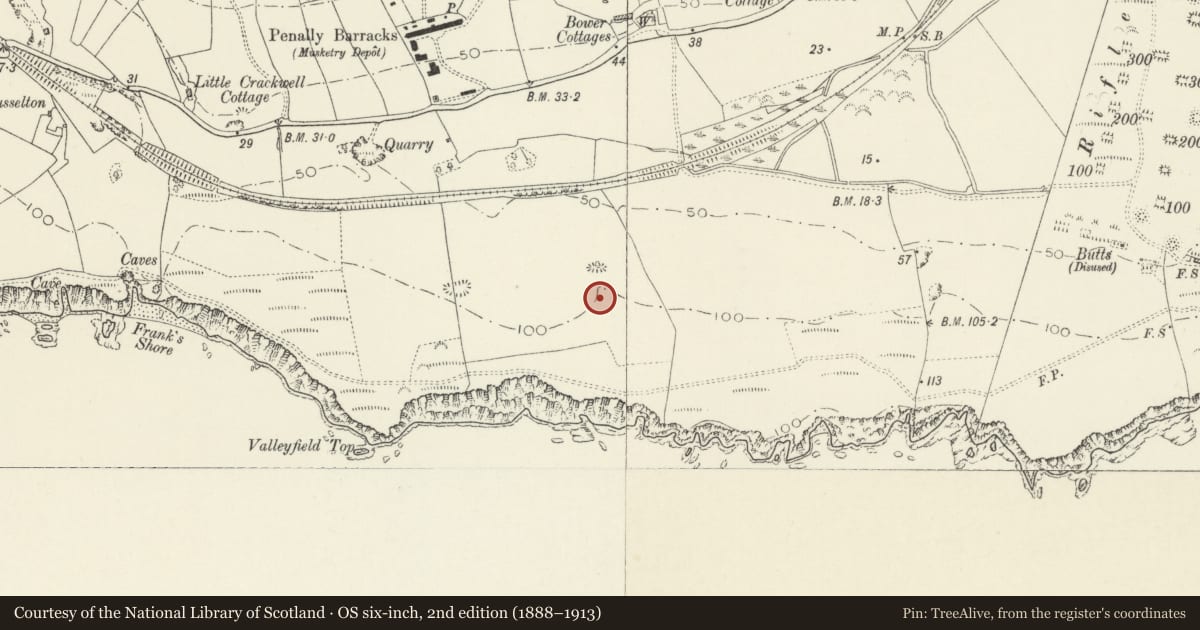 Ordnance Survey six-inch map, 2nd edition (1888–1913) covering the location of First World War Practice Trenches, Penally Range, Pembrokeshire, with a pin at the register's coordinates