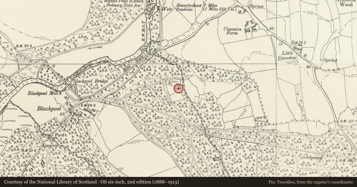 Ordnance Survey six-inch map, 2nd edition (1888–1913) covering the location of Blackpool Iron Furnace, Martletwy, Pembrokeshire, with a pin at the register's coordinates