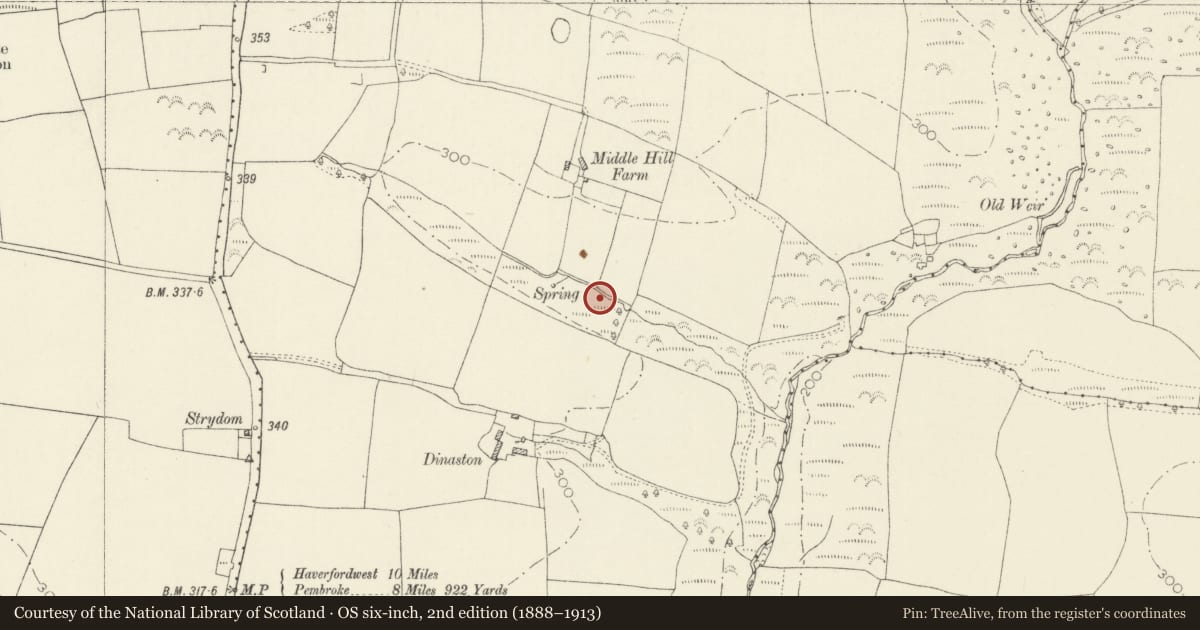Ordnance Survey six-inch map, 2nd edition (1888–1913) covering the location of Burnt Mound North of Dinaston Farm, Jeffreyston, Pembrokeshire, with a pin at the register's coordinates