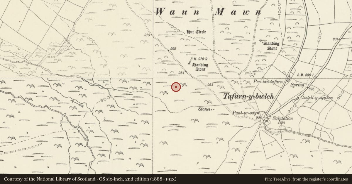 Ordnance Survey six-inch map, 2nd edition (1888–1913) covering the location of Tafarn-y-bwlch Deserted Rural Settlement, Eglwyswrw, Pembrokeshire, with a pin at the register's coordinates