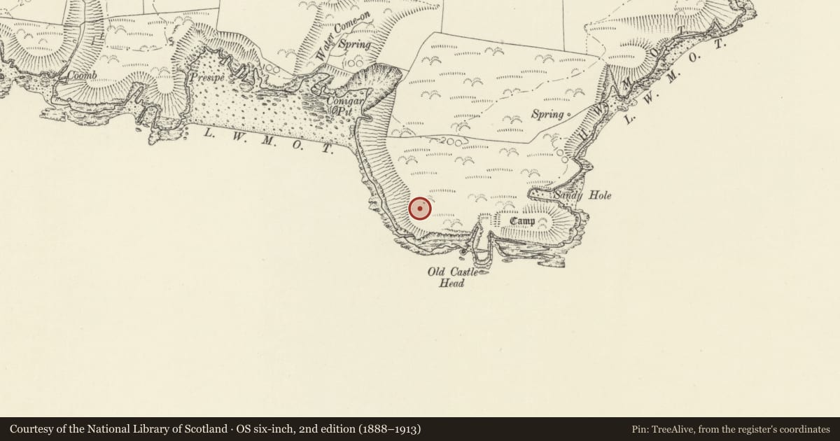 Ordnance Survey six-inch map, 2nd edition (1888–1913) covering the location of Radar Station, Old Castle Head, Manorbier, Pembrokeshire, with a pin at the register's coordinates