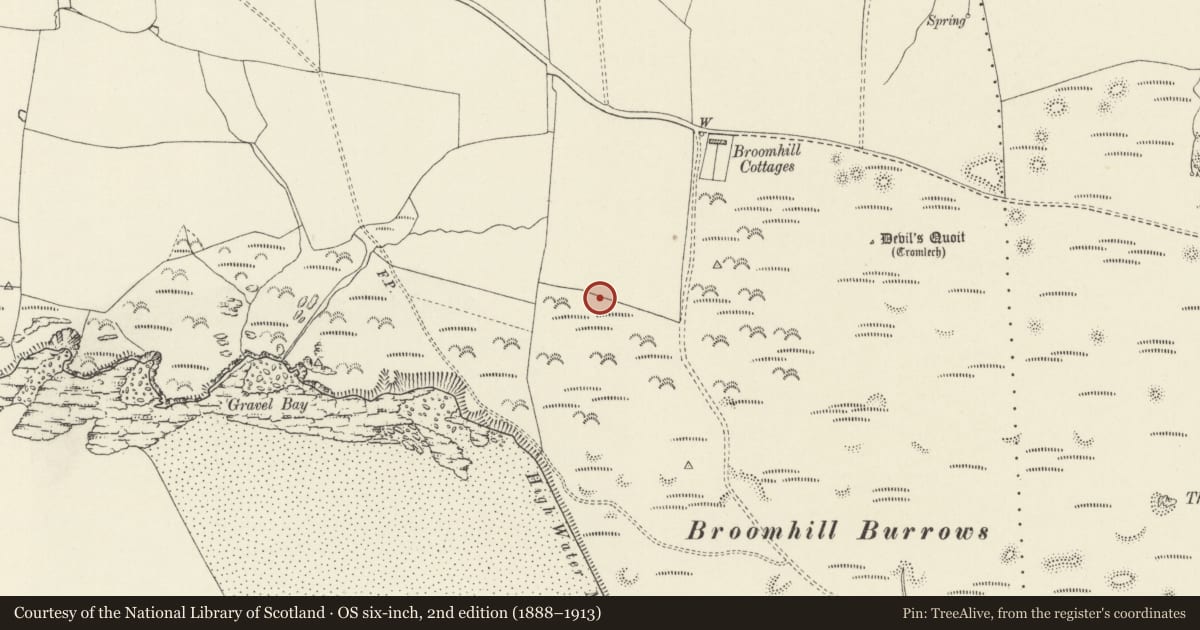 Ordnance Survey six-inch map, 2nd edition (1888–1913) covering the location of Gravel Bay anti-aircraft battery, Angle, Pembrokeshire, with a pin at the register's coordinates