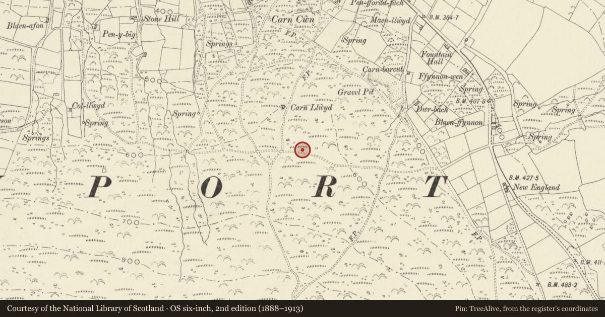 Ordnance Survey six-inch map, 2nd edition (1888–1913) covering the location of Carn Llwyd ring cairn, Newport, Pembrokeshire, with a pin at the register's coordinates