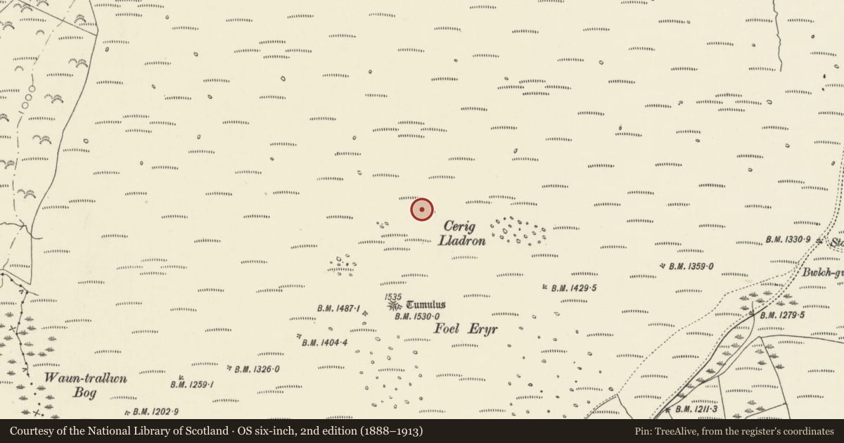 Ordnance Survey six-inch map, 2nd edition (1888–1913) covering the location of Cerrig Lladron stone row, Cwm Gwaun, Pembrokeshire, with a pin at the register's coordinates