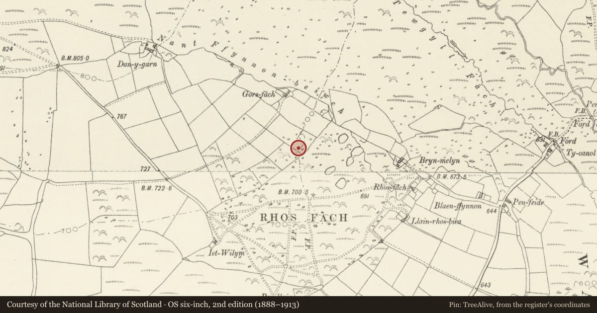 Ordnance Survey six-inch map, 2nd edition (1888–1913) covering the location of Rhos Fach standing stone pair, Mynachlog-Ddu, Pembrokeshire, with a pin at the register's coordinates