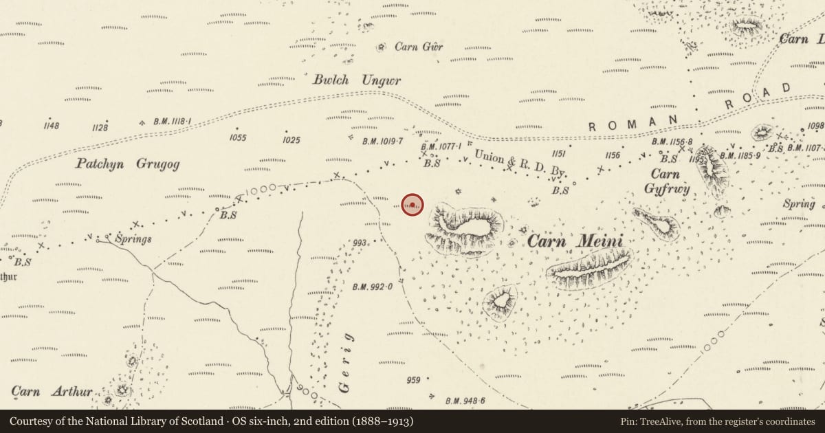 Ordnance Survey six-inch map, 2nd edition (1888–1913) covering the location of Carn Menyn chambered cairn, Mynachlog-Ddu, Pembrokeshire, with a pin at the register's coordinates
