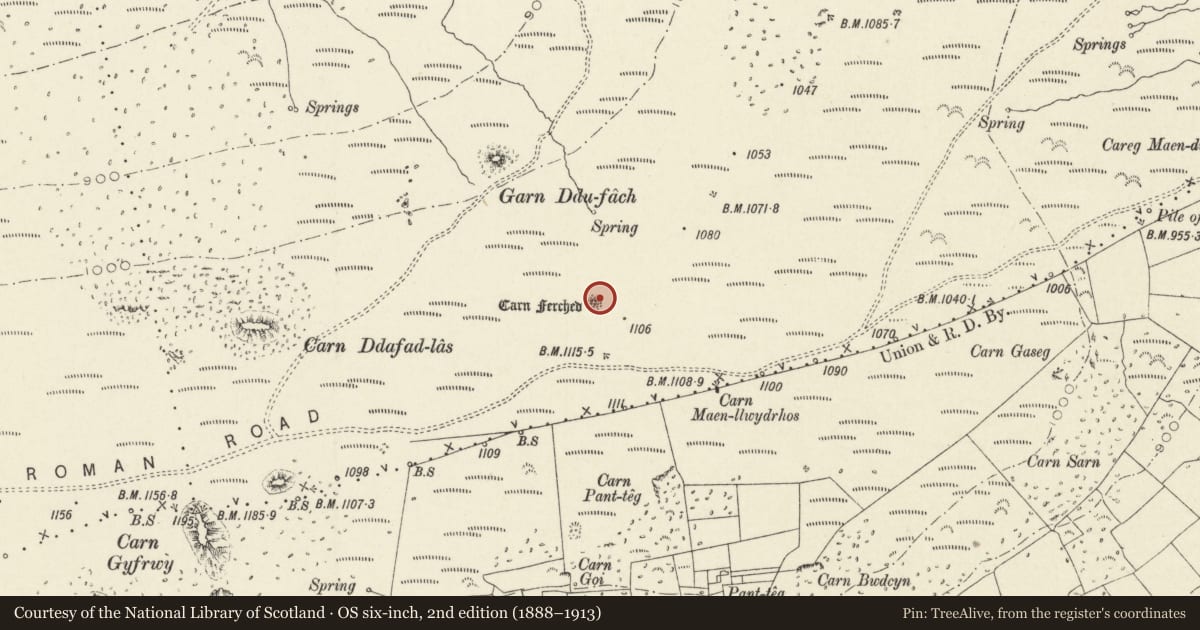 Ordnance Survey six-inch map, 2nd edition (1888–1913) covering the location of Carn Ferched platform cairn, Crymych, Pembrokeshire, with a pin at the register's coordinates