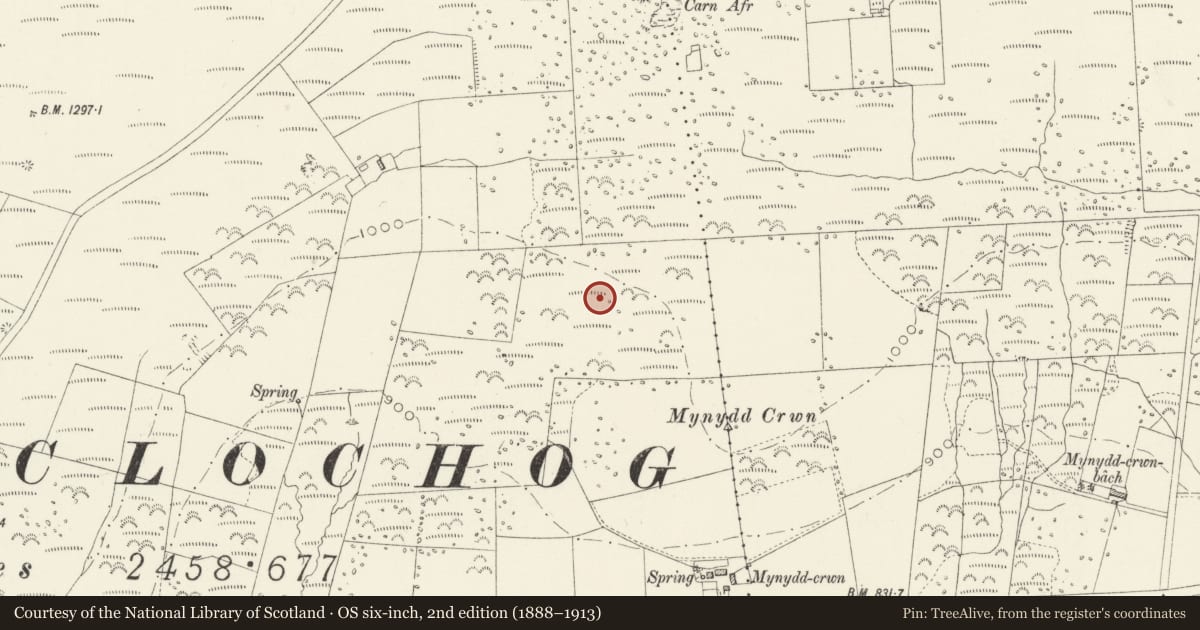 Ordnance Survey six-inch map, 2nd edition (1888–1913) covering the location of Mynydd Crwn standing stone, Maenclochog, Pembrokeshire, with a pin at the register's coordinates