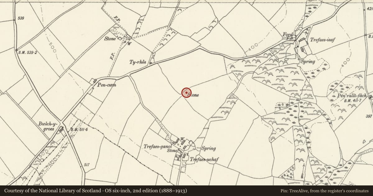 Ordnance Survey six-inch map, 2nd edition (1888–1913) covering the location of Standing Stone, Nevern, Pembrokeshire, with a pin at the register's coordinates
