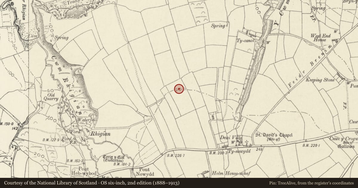 Ordnance Survey six-inch map, 2nd edition (1888–1913) covering the location of Standing Stone, Newport, Pembrokeshire, with a pin at the register's coordinates