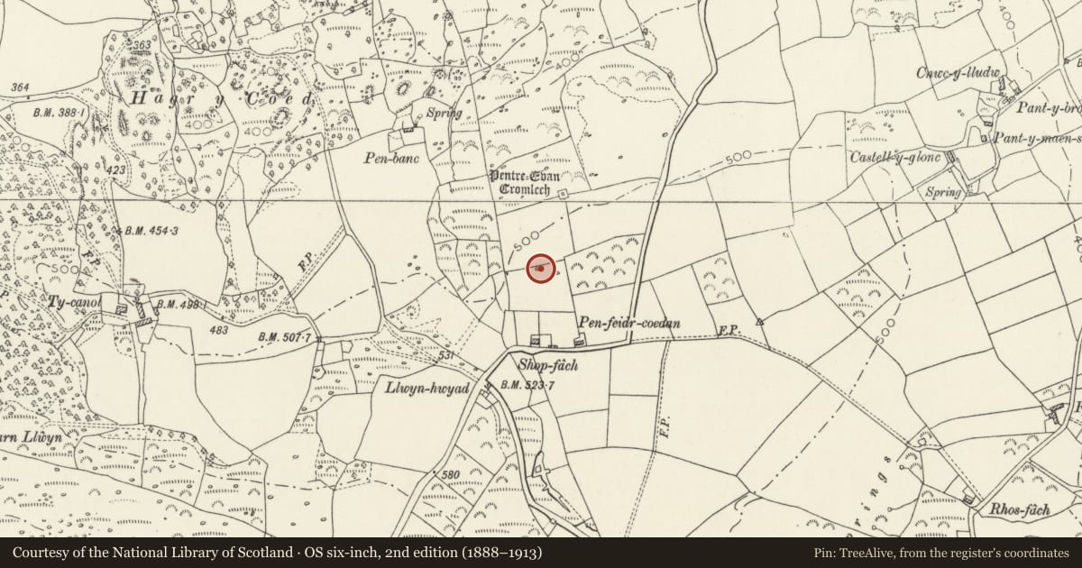 Ordnance Survey six-inch map, 2nd edition (1888–1913) covering the location of Standing Stone, Nevern, Pembrokeshire, with a pin at the register's coordinates