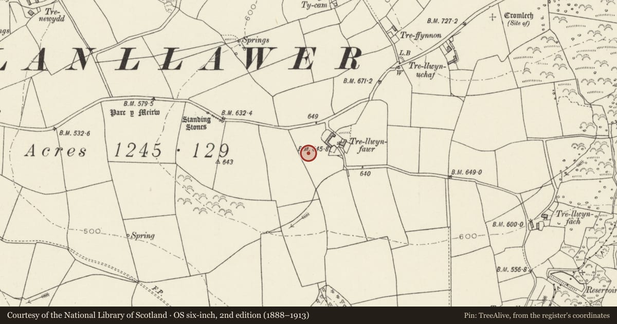 Ordnance Survey six-inch map, 2nd edition (1888–1913) covering the location of Standing Stone, Cwm Gwaun, Pembrokeshire, with a pin at the register's coordinates