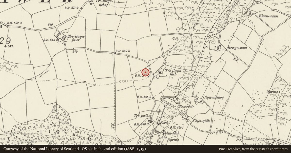 Ordnance Survey six-inch map, 2nd edition (1888–1913) covering the location of Standing Stone, Cwm Gwaun, Pembrokeshire, with a pin at the register's coordinates