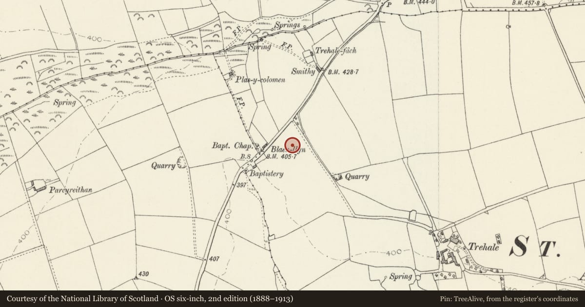 Ordnance Survey six-inch map, 2nd edition (1888–1913) covering the location of Standing Stone 100m ENE of Blaen-llyn, Hayscastle, Pembrokeshire, with a pin at the register's coordinates