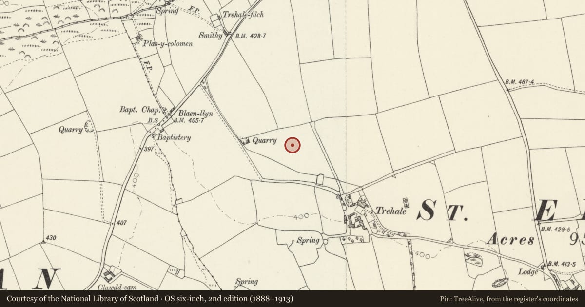 Ordnance Survey six-inch map, 2nd edition (1888–1913) covering the location of Standing Stone 270m NW of Trehale House, Hayscastle, Pembrokeshire, with a pin at the register's coordinates