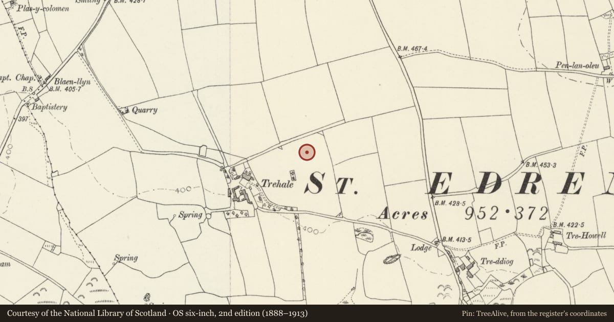 Ordnance Survey six-inch map, 2nd edition (1888–1913) covering the location of Standing Stone 200m ENE of Trehale House, Hayscastle, Pembrokeshire, with a pin at the register's coordinates