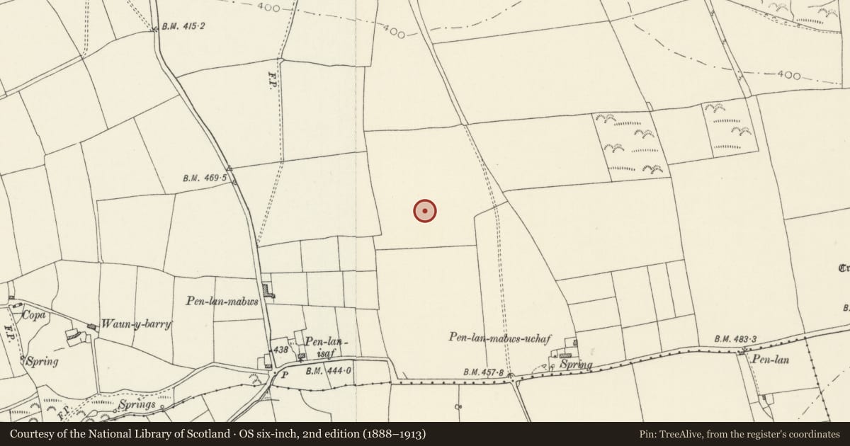 Ordnance Survey six-inch map, 2nd edition (1888–1913) covering the location of Standing Stone 400m NE of Pen-lan-Mabws, Mathry, Pembrokeshire, with a pin at the register's coordinates