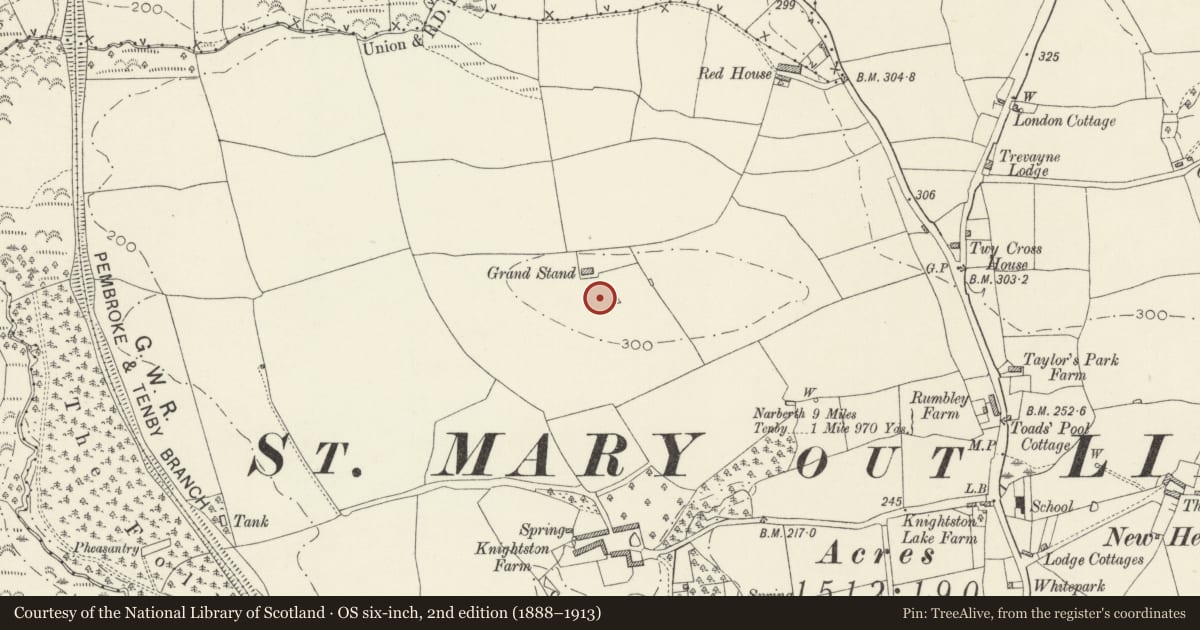 Ordnance Survey six-inch map, 2nd edition (1888–1913) covering the location of Standing Stone 350m N of Knightston Farm, St. Mary Out Liberty, Pembrokeshire, with a pin at the register's coordinates