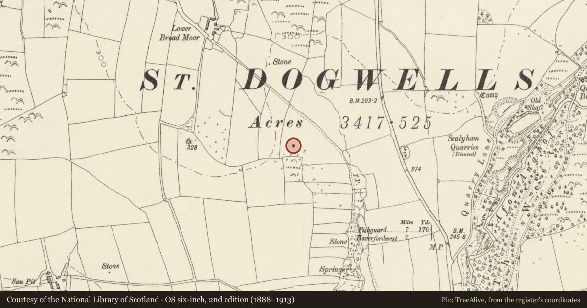 Ordnance Survey six-inch map, 2nd edition (1888–1913) covering the location of Standing Stone 450m SSE of Lower Broadmoor Farm, Wolfscastle, Pembrokeshire, with a pin at the register's coordinates