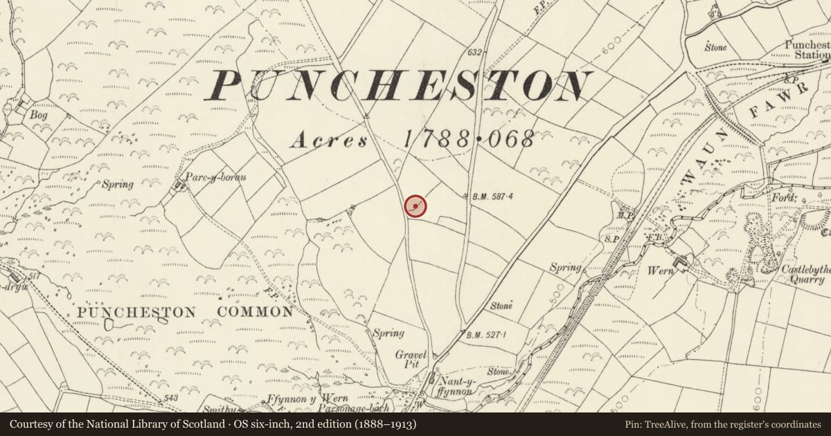 Ordnance Survey six-inch map, 2nd edition (1888–1913) covering the location of Carreg Quoitan Standing Stone, Puncheston, Pembrokeshire, with a pin at the register's coordinates
