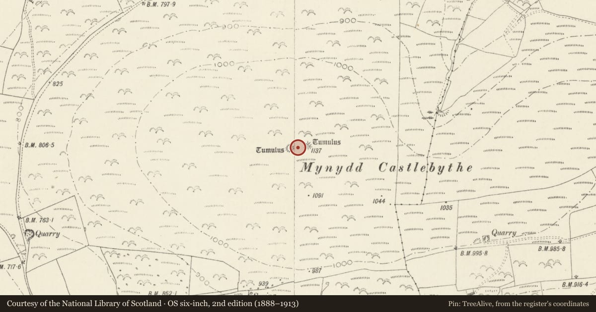 Ordnance Survey six-inch map, 2nd edition (1888–1913) covering the location of Mynydd Castlebythe Round Barrows, Puncheston, Pembrokeshire, with a pin at the register's coordinates