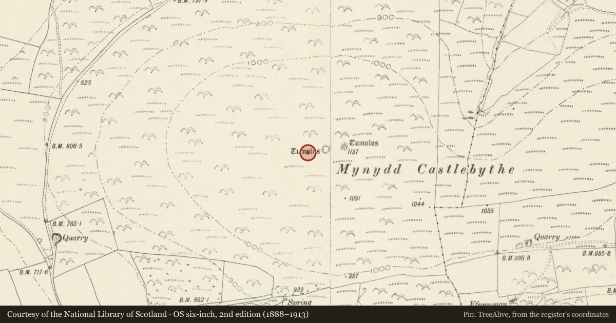 Ordnance Survey six-inch map, 2nd edition (1888–1913) covering the location of Mynydd Castlebythe Ring Barrow, Puncheston, Pembrokeshire, with a pin at the register's coordinates