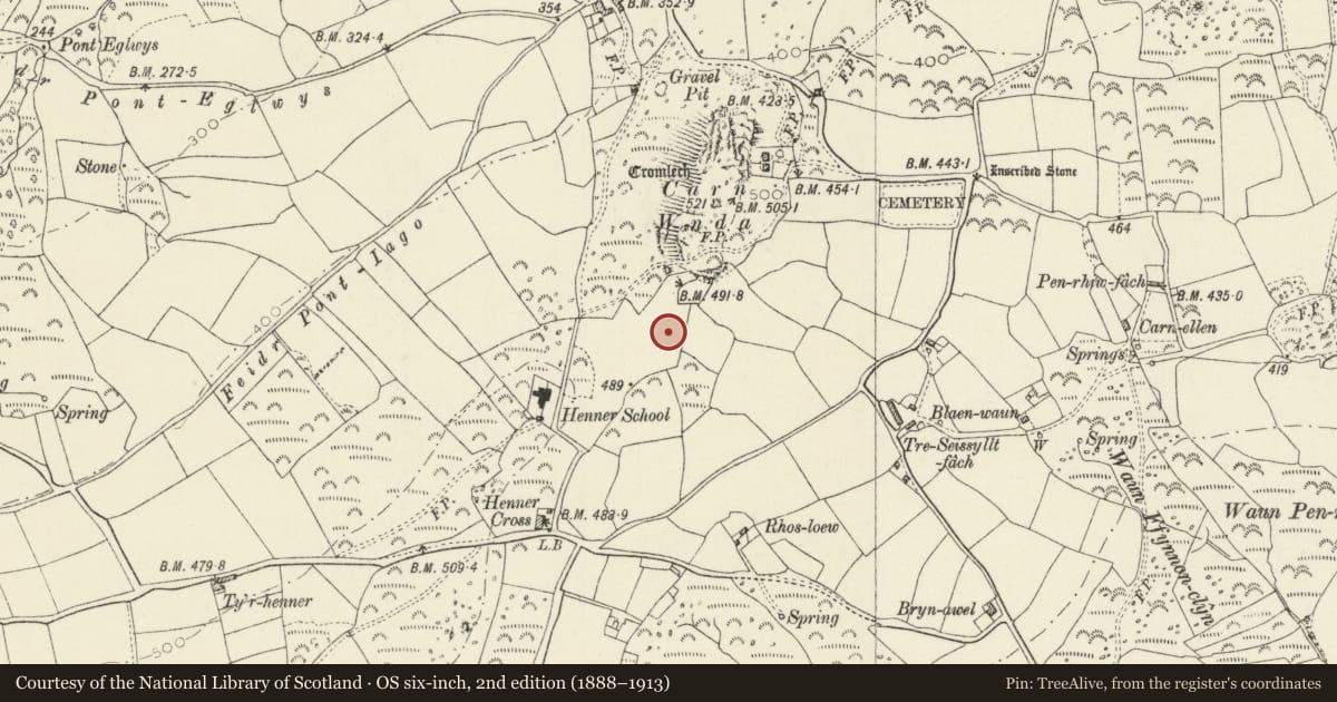 Ordnance Survey six-inch map, 2nd edition (1888–1913) covering the location of Parc Hen Standing Stone, Pencaer, Pembrokeshire, with a pin at the register's coordinates