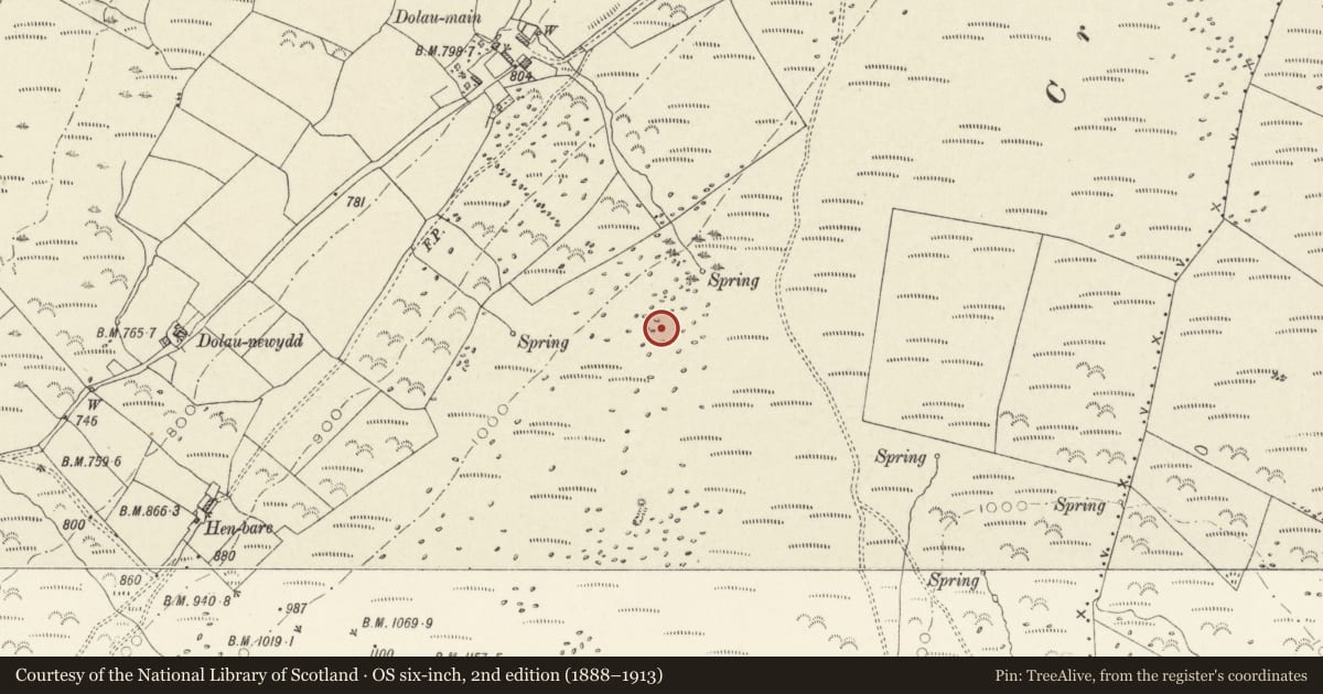 Ordnance Survey six-inch map, 2nd edition (1888–1913) covering the location of Standing Stone 600m E of Dolau-Newydd, Mynachlog-Ddu, Pembrokeshire, with a pin at the register's coordinates