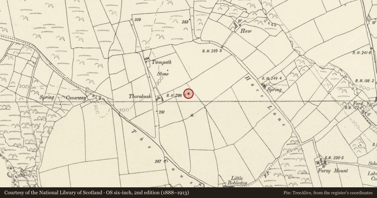 Ordnance Survey six-inch map, 2nd edition (1888–1913) covering the location of Round Barrow 100m E of Thornbush, Camrose, Pembrokeshire, with a pin at the register's coordinates