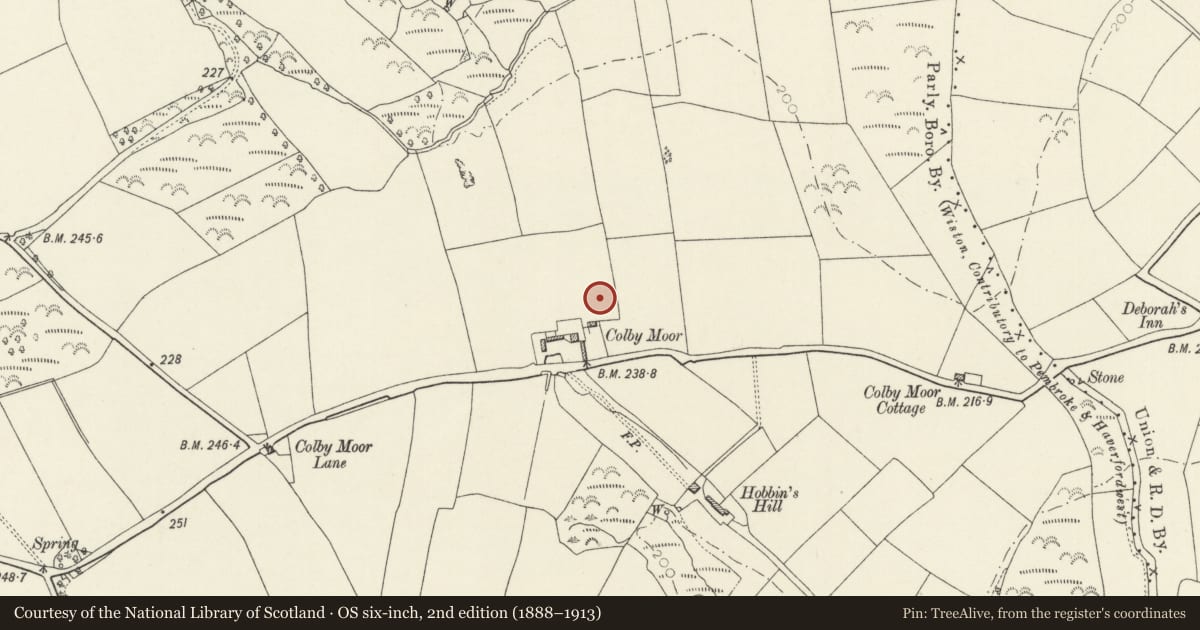 Ordnance Survey six-inch map, 2nd edition (1888–1913) covering the location of Colby Moor Round Barrow, Wiston, Pembrokeshire, with a pin at the register's coordinates