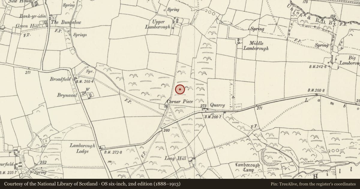 Ordnance Survey six-inch map, 2nd edition (1888–1913) covering the location of Corner Piece Round Barrow, Wiston, Pembrokeshire, with a pin at the register's coordinates