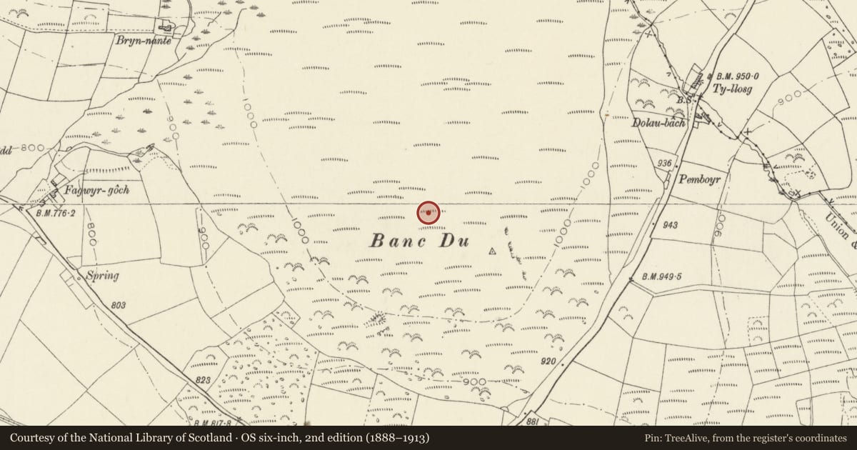 Ordnance Survey six-inch map, 2nd edition (1888–1913) covering the location of Banc Du Neolithic Enclosure, Puncheston, Pembrokeshire, with a pin at the register's coordinates