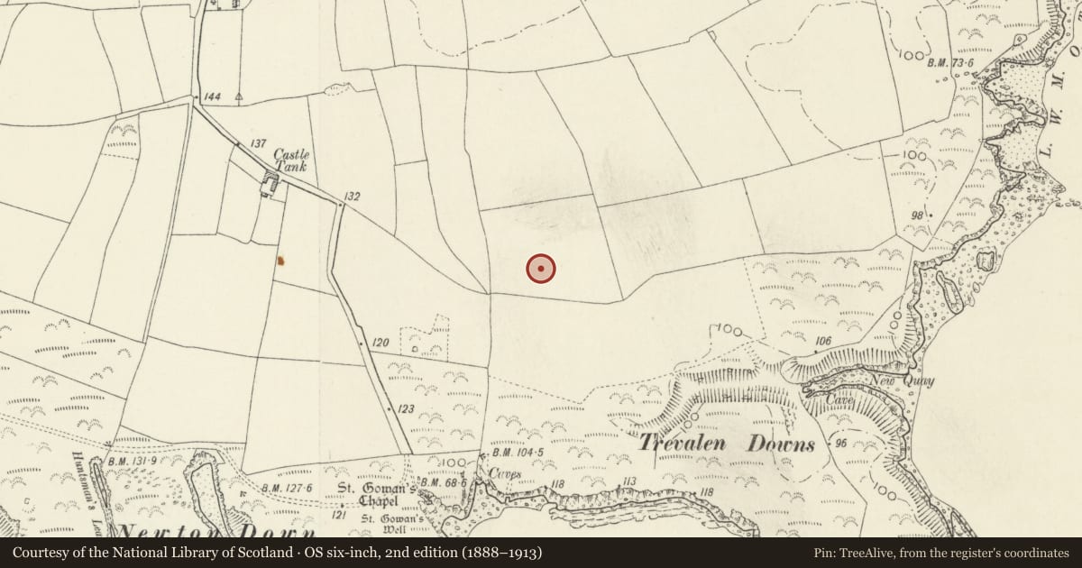 Ordnance Survey six-inch map, 2nd edition (1888–1913) covering the location of Trevallen Downs Tank Range, Stackpole and Castlemartin, Pembrokeshire, with a pin at the register's coordinates