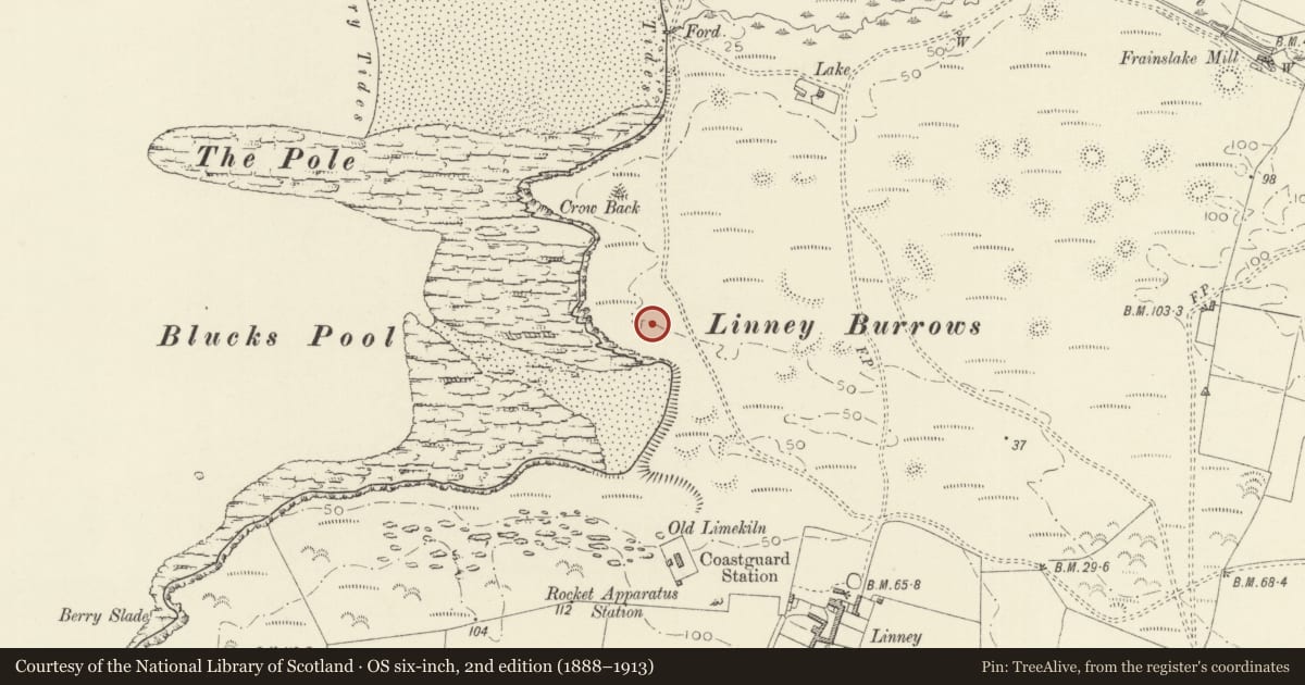 Ordnance Survey six-inch map, 2nd edition (1888–1913) covering the location of Linney Tobruk Shelters, Castlemartin, Pembrokeshire, with a pin at the register's coordinates
