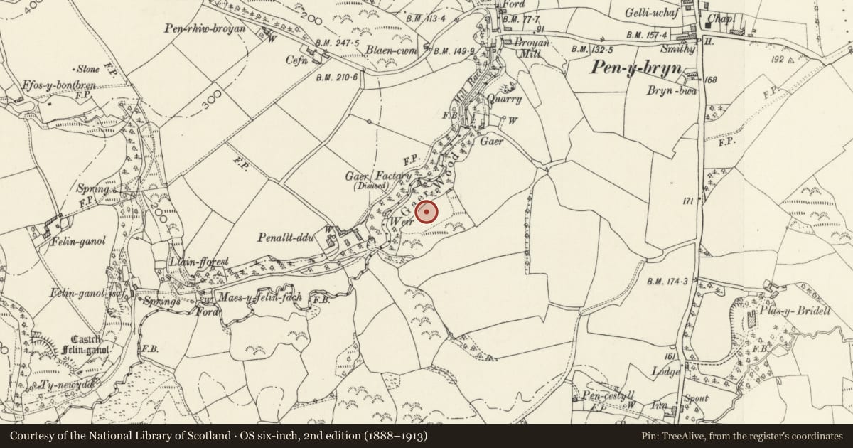 Ordnance Survey six-inch map, 2nd edition (1888–1913) covering the location of Penralltddu Defended Enclosure, Cilgerran, Pembrokeshire, with a pin at the register's coordinates