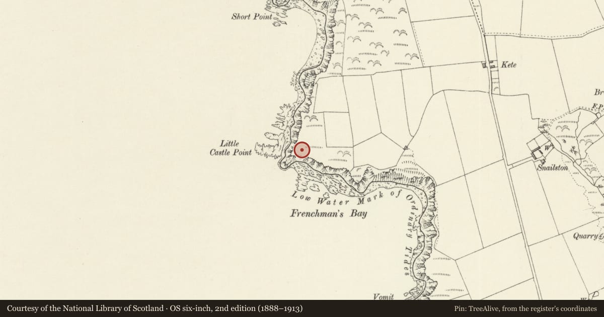 Ordnance Survey six-inch map, 2nd edition (1888–1913) covering the location of Little Castle Point Defended Enclosure, Dale, Pembrokeshire, with a pin at the register's coordinates