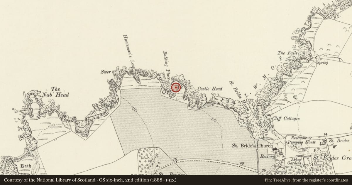 Ordnance Survey six-inch map, 2nd edition (1888–1913) covering the location of Castle Head Defended Enclosure, Marloes and St. Brides, Pembrokeshire, with a pin at the register's coordinates