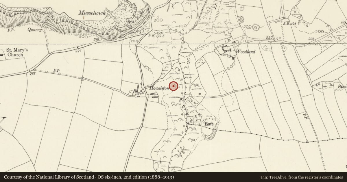 Ordnance Survey six-inch map, 2nd edition (1888–1913) covering the location of Howelston Defended Enclosure, The Havens, Pembrokeshire, with a pin at the register's coordinates
