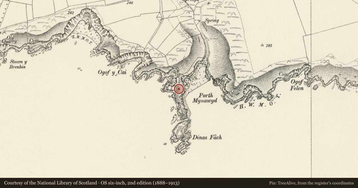 Ordnance Survey six-inch map, 2nd edition (1888–1913) covering the location of Dinas Fach Defended Enclosure, Brawdy, Pembrokeshire, with a pin at the register's coordinates