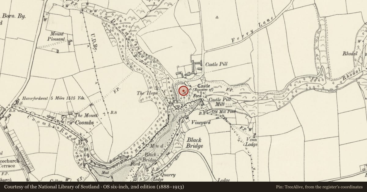 Ordnance Survey six-inch map, 2nd edition (1888–1913) covering the location of Castle Pill, Milford Haven, Pembrokeshire, with a pin at the register's coordinates