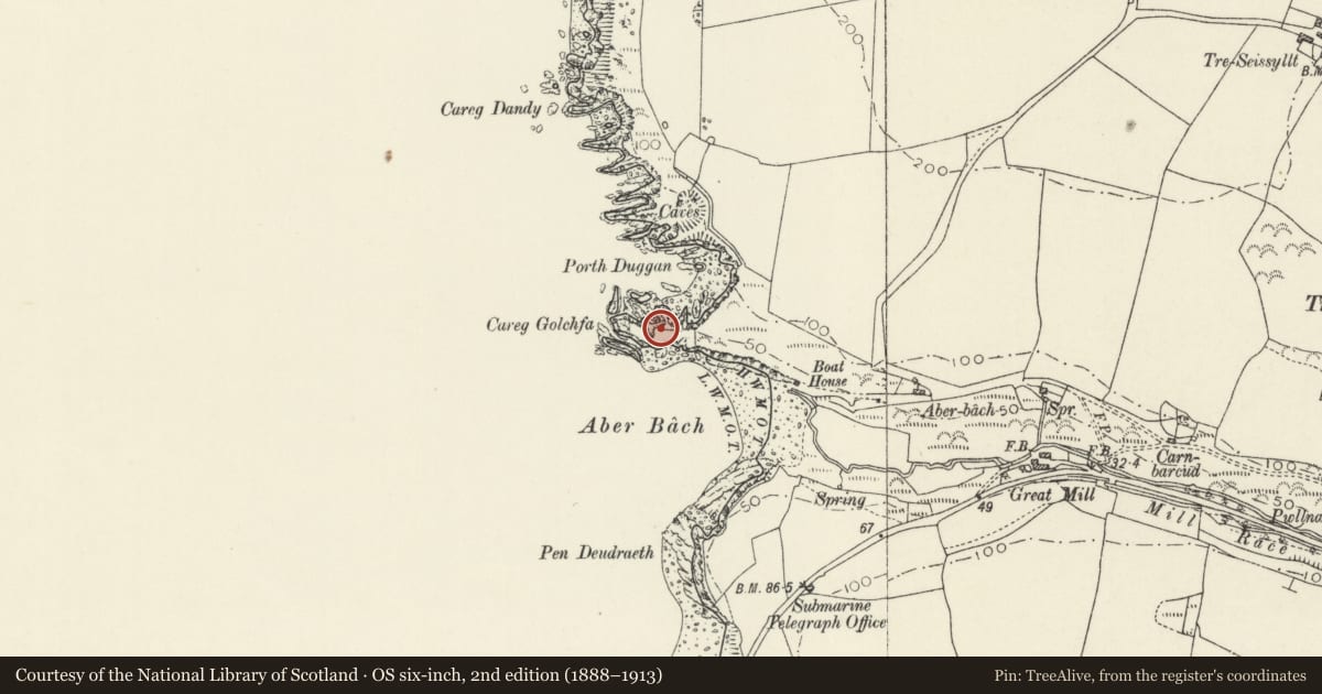Ordnance Survey six-inch map, 2nd edition (1888–1913) covering the location of Carreg Golchfa Defended Enclosure, Pencaer, Pembrokeshire, with a pin at the register's coordinates