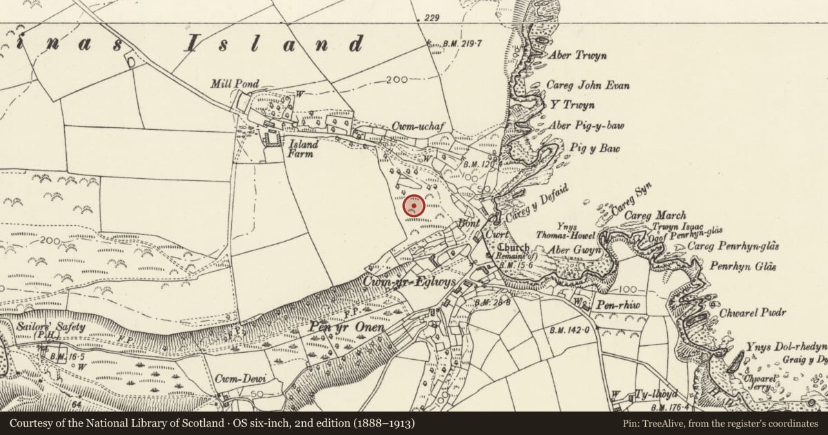 Ordnance Survey six-inch map, 2nd edition (1888–1913) covering the location of Dinas Island Castell, Dinas Cross, Pembrokeshire, with a pin at the register's coordinates