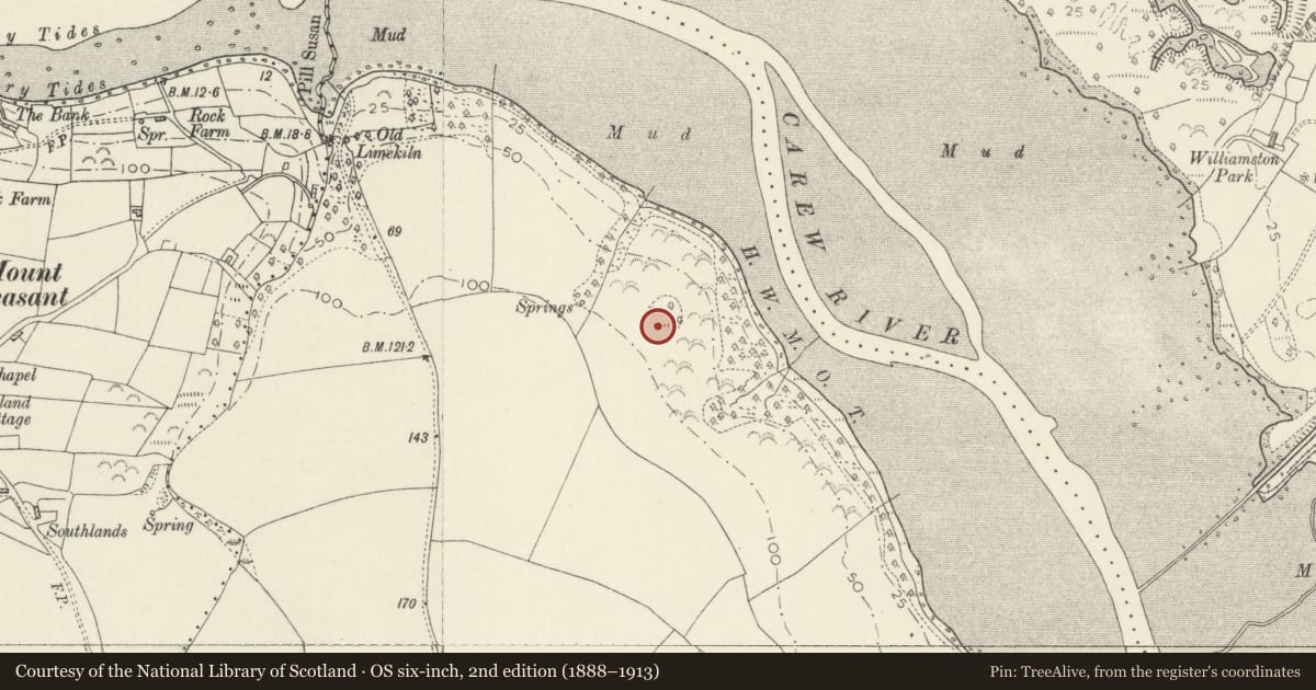 Ordnance Survey six-inch map, 2nd edition (1888–1913) covering the location of Defended Enclosure 800m NNE of Upton Farm, Cosheston, Pembrokeshire, with a pin at the register's coordinates