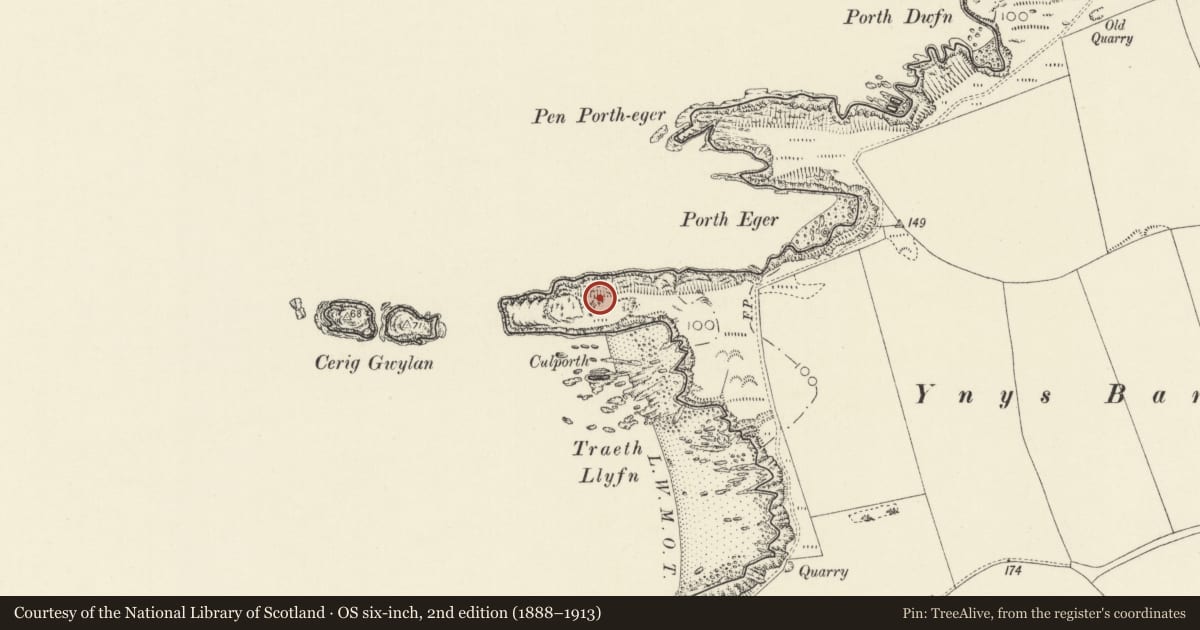 Ordnance Survey six-inch map, 2nd edition (1888–1913) covering the location of Porth Egr Defended Enclosure, Llanrhian, Pembrokeshire, with a pin at the register's coordinates